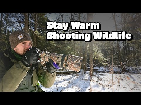 How I Stay Warm for Winter Wildlife Photography (Clothing, Gear & Battery Tips)