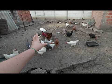 Обзор ХОЗЯЙСТВА // Работы не початый край !