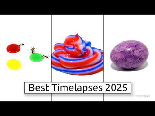 Best TEMPONAUT Timelapses 2025