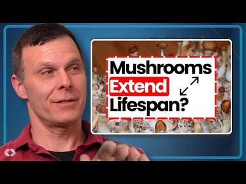 Magic Mushrooms: The Next Anti-Aging Drug?