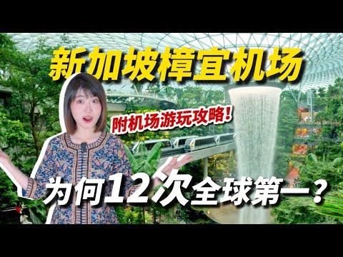 【圆眼看世界】新加坡樟宜机场凭什么12次获得全球最佳机场?附樟宜机场游玩攻略!WHY IS SINGAPORE CHANGI AIRPORT ALWAYS THE BEST ?