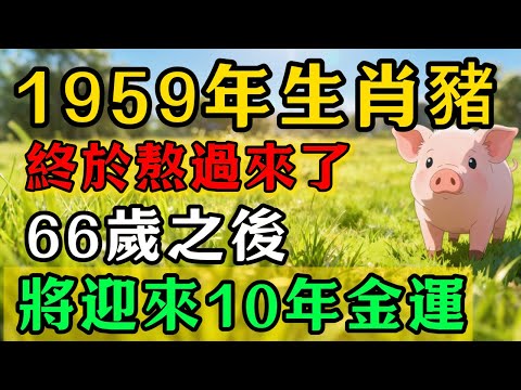天降祥瑞!1959年屬豬人,2025年即將過去,熬過今年66歲之後,你將迎來「10年金運」!準備接福!#佛靈禪境#屬相運勢#生肖#家運#生肖運勢的那些事#先知#風水變化#提升運勢