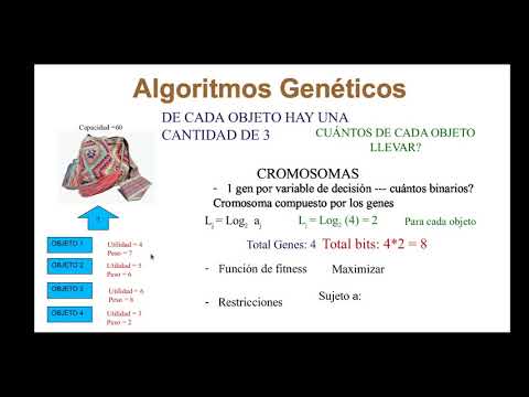 Algoritmo Genético Problema de la Mochila No Binaria