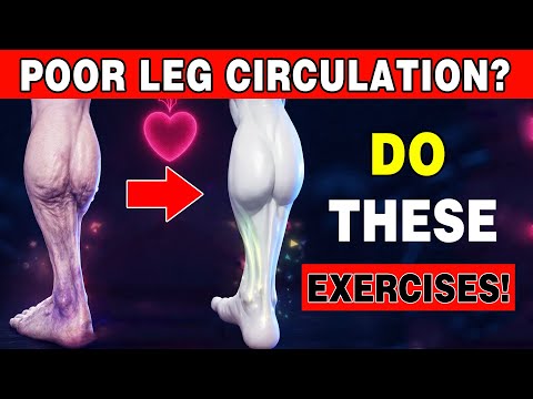 Over 60? 10 Movements for Poor Leg Circulation | Senior Moves
