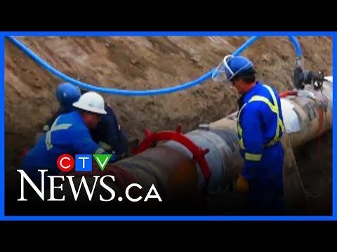 B.C. premier does not have veto power over Alberta-feds pipeline deal | Raitt