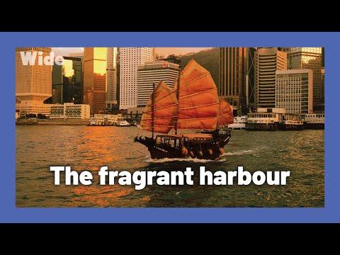 Hong Kong: the region that never stopped shining | WIDE | FULL DOCUMENTARY