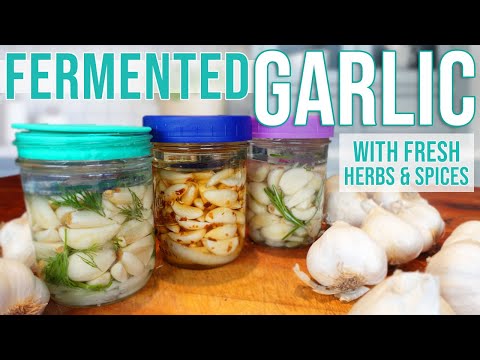 FERMENTED GARLIC - Ordinary Garlic Becomes Extraordinary! Easy Recipe