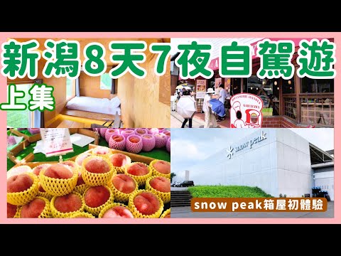 新潟自駕8天7夜 Vlog(上集),入住 Snow Peak 總部、果園採果爆買超甜水蜜桃、輕井澤快閃行|日本失心瘋俱樂部