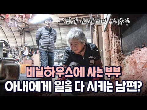 외딴섬 직접 지은 비닐하우스에 사는 부부, 아내에게 일만 시키는 남편?|다시보는 특종세상 462회