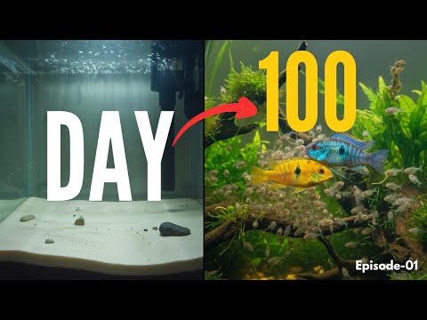 I Built a Mini Ecosystem… Here’s What Happened in 100 Days