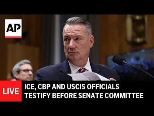 LIVE: ICE, CBP and USCIS officials testify before Senate Committee