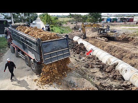 Nicely Huge 25.5-ton trucks drop soil coverage drain for a new village & push by KomatSu Dozer