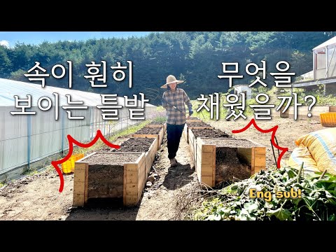 Three years of home-garden know-how: how to build a hugelkultur raised bed
