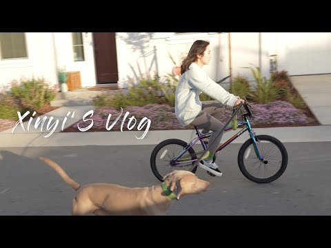 居家工作|红油抄手|番茄红了|运动裤种草 📷