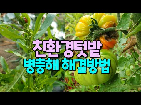 Eco-friendly vegetable garden Natural pest control method