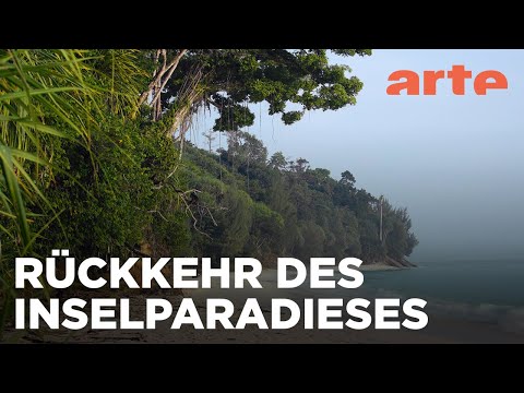 Die Nikobaren - Auferstehung eines Archipels | ARTE Fernweh