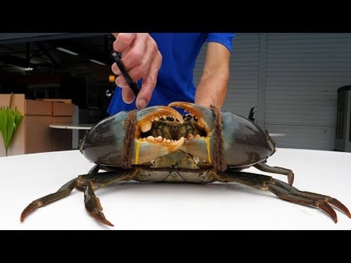 이게 진짜 칠리크랩이지 싱가포르 현지에서 비법소스까지 공개합니다