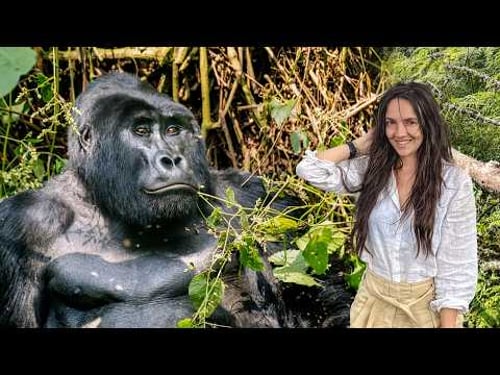 48 Hours Tracking Mountain Gorillas in Bwindi, Uganda