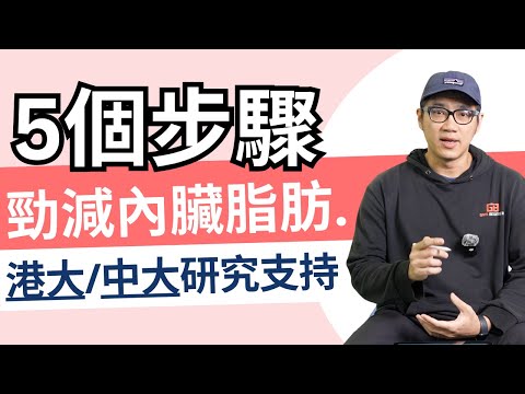 【科學實證】2025最強減脂法!運動劑量效應消滅內臟脂肪+保肌肉!#減肚腩 #中年健康 #長者訓練