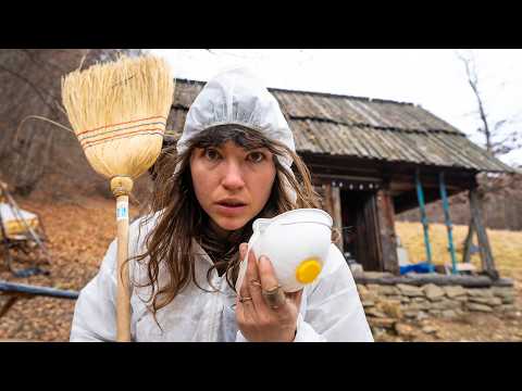 Turning This Abandoned Hut Into a Home (In 8 Days!)