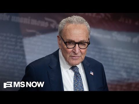 End roving patrols, no secret police: Sen. Schumer details Democrats' proposed changes for ICE, DHS