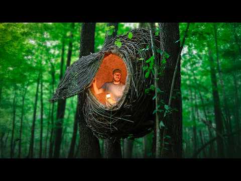 Building a Warm and Cozy NEST | Bushcraft tree house, Survival shelter