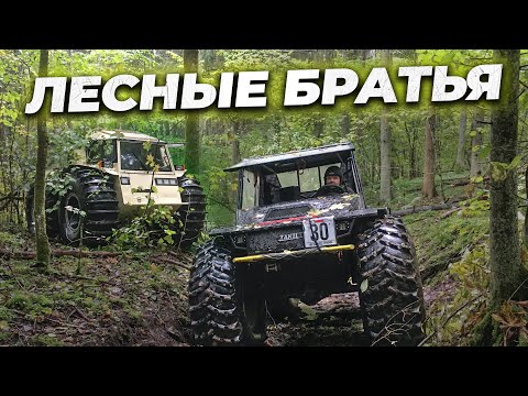 Тактик и Шерп на природе. Из ущелья в горы на веревке.