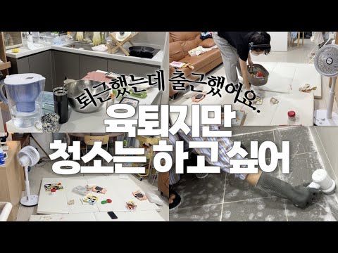 애미야 육퇴했니? 이제 청소를 낋여오너라 | 청소vlog 🐭🧹