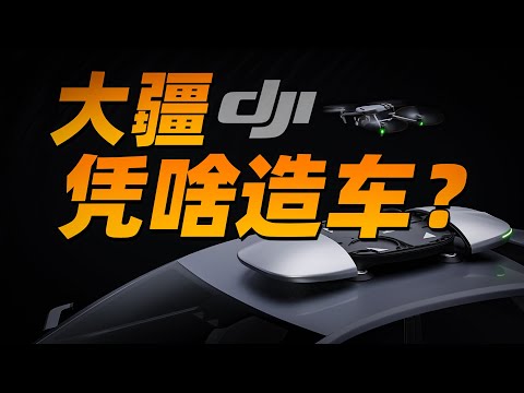 听说你们这行不太好干,我特意过来试试 - 大疆P5