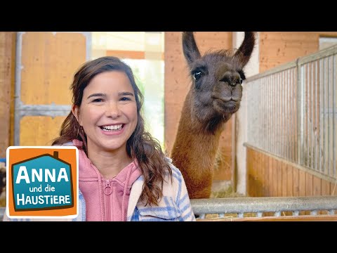 Ein Tag mit Therapietieren | Information für Kinder | Anna und die Haustiere | Spezial