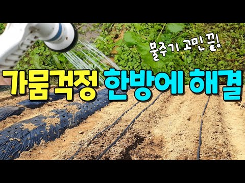 Complete solution to drought worries in a small garden!! Weekend farm watering (irrigation) tips💧