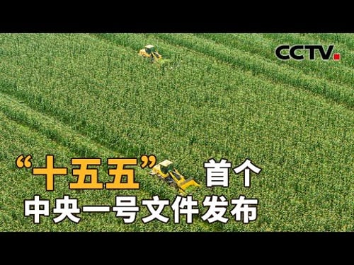 2026中央一号文件,部署哪些“三农”重点?| CCTV「新闻1+1」20260203