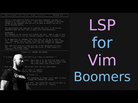 LSP for Vim Boomers