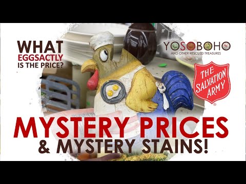 😳 GREAT NEW PRICING!? 🧐 THRIFT WITH US FOR RESALE at Salvation Army!