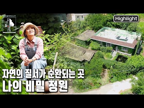 작은 옹달샘, 풀을 뽑지 않는 정원. '시크릿 가든'에 초대합니다 | 자연의 철학자들 17부 '나의 비밀 정원' (KBS 20220715 방송)