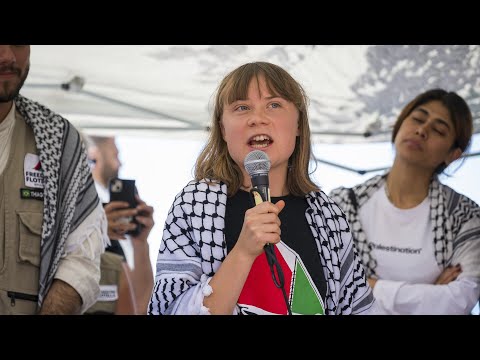 ‘Virtue signalling’: Greta Thunberg’s expedition to Gaza shows her ‘ignorance’