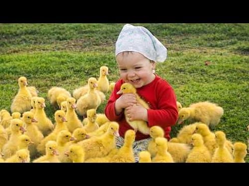 When Your Baby and Farm Animals Instantly Become Best Friends β€οΈ Funniest Animal Videos
