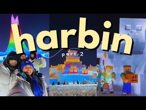 we froze our butts off to make it to the ice & snow festival | vlog