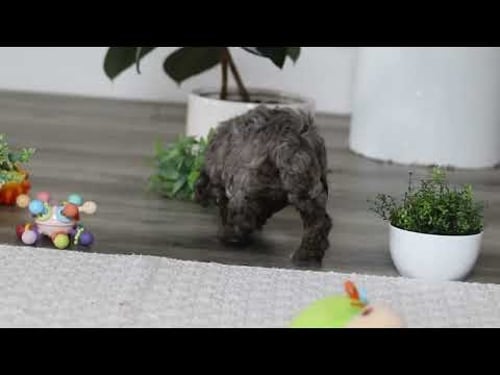 Brooke Made with Clipchamp