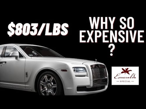 Gesha Coffee: Why Is So Expensive? Not Your Daily Caffeine.