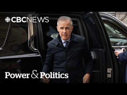 How will Carney's new Canada-U.S. advisory panel address key trade issues? | Power & Politics