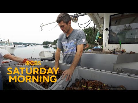 Viral lobsterman documents Maine's lobster season