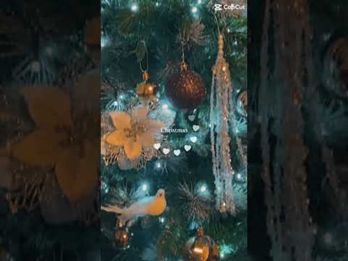 My Christmas tree !!!! 🌲