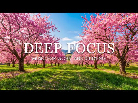 Deep Focus Music for Studying β 3 Hours of Ambient Study Music for Maximum Focus