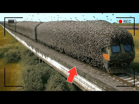 لا يصدق! انظروا ما التقطته كاميرات المراقبة أغرب 220 مشهد من الحياة الواقعية !!