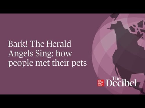 Bark! The Herald Angels Sing: how people met their pets