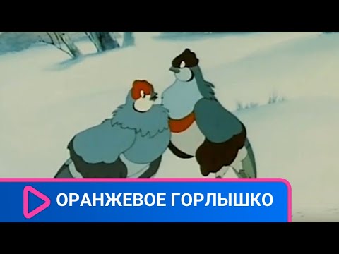 👨👨👧👧 Куропатка и петух усыновляют птенцов, которые остались без родителей! Оранжевое горлышко.