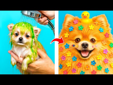 Мы приютили собаку! Лайфхаки для владельцев животных!