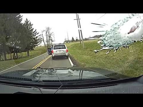 Top 10 Craziest Police Chases of 2025 - Best of the Year