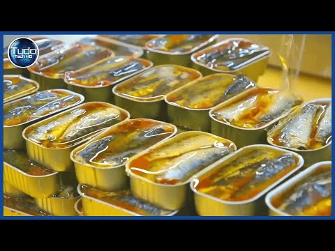 How Canned Sardines are Made – Industrial Process – Billions of Sardines Fished and Canned